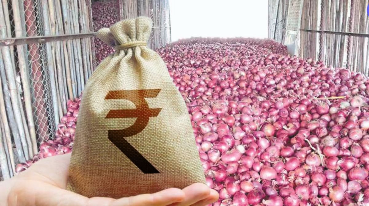 Onion Subsidy